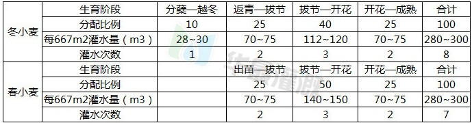 滴灌小麥灌溉方案