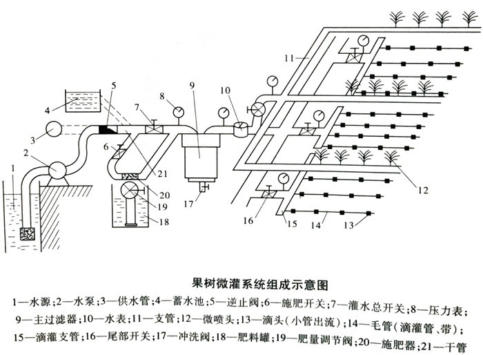 果樹(shù)微灌系統(tǒng)毛管安裝示意